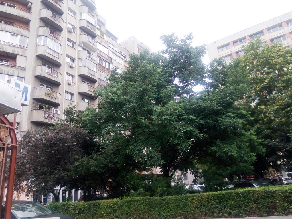 Apartament Dana Bucureşti Exterior foto