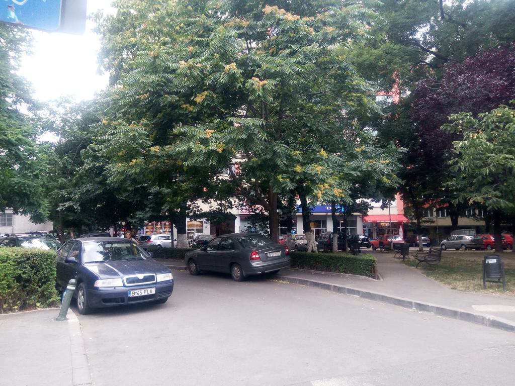 Apartament Dana Bucureşti Exterior foto
