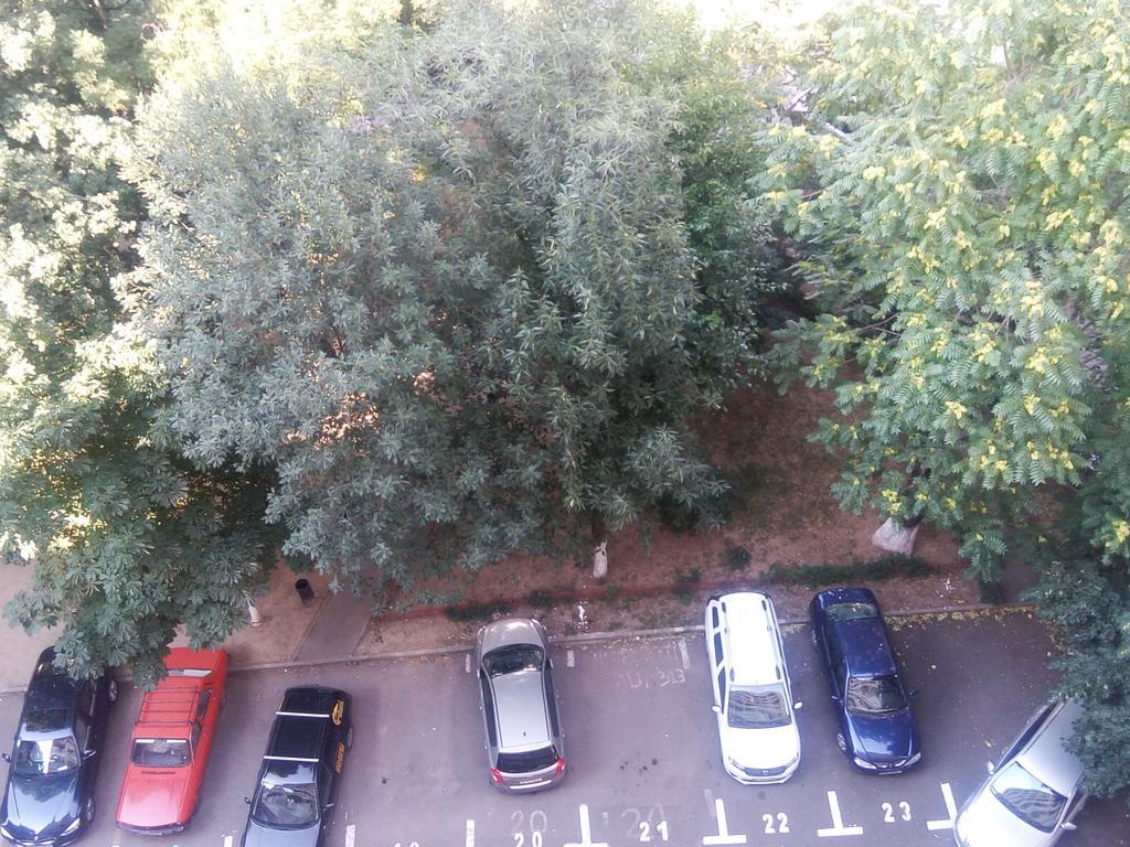 Apartament Dana Bucureşti Exterior foto